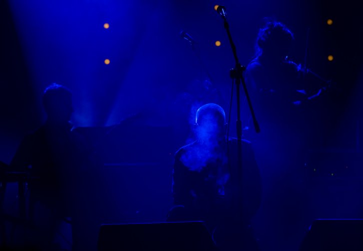 Świetliki fot. Marek Wesołowski (10).jpg