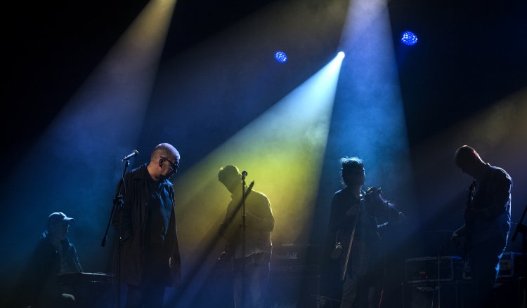 Świetliki fot. Marek Wesołowski (4).jpg