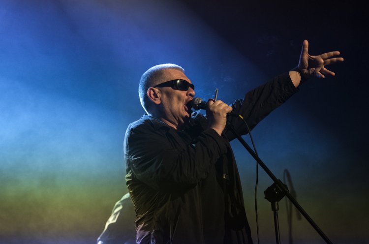 Świetliki fot. Marek Wesołowski (7).jpg