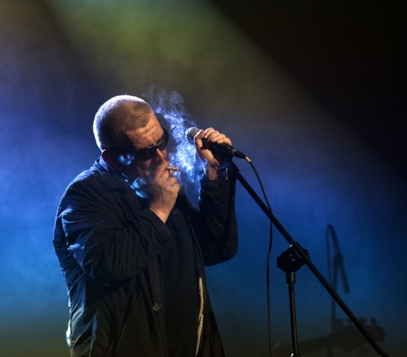 Świetliki fot. Marek Wesołowski (8).jpg