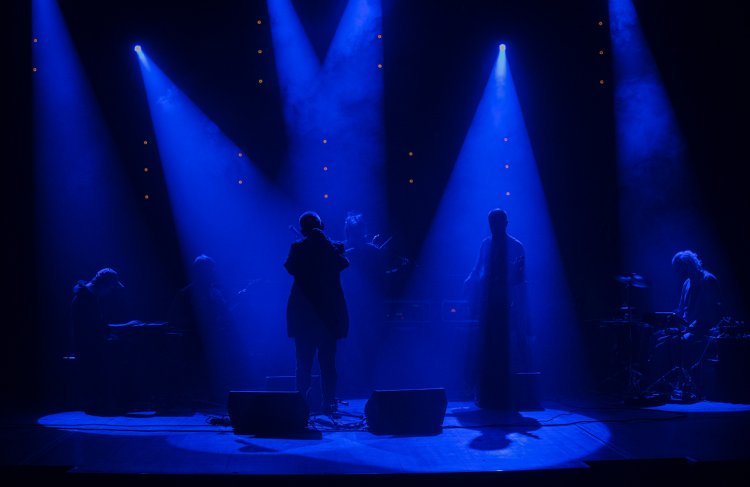 Świetliki fot. Marek Wesołowski (9).jpg