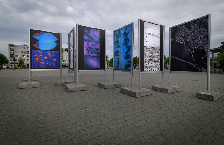 001- Ogród zdarzeń.jpg