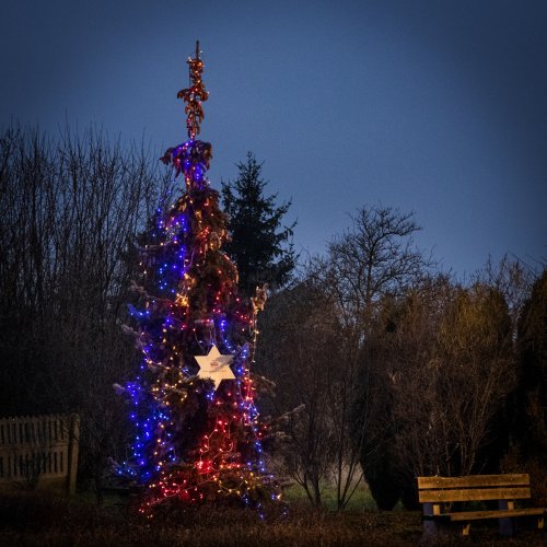 002 - Akcja Świąteczne drzewko-Tucznawa.jpg