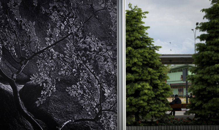 003- Ogród zdarzeń.jpg