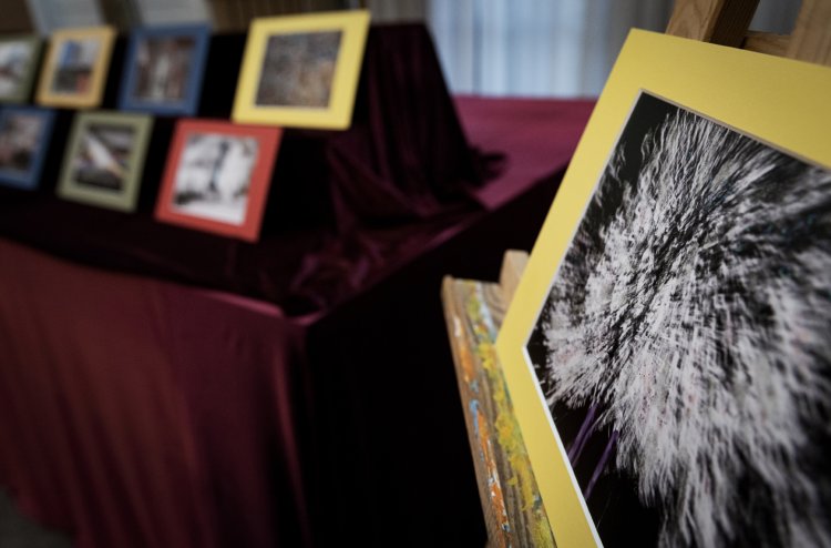 003-Marzenia-wernisaż DKZ.jpg