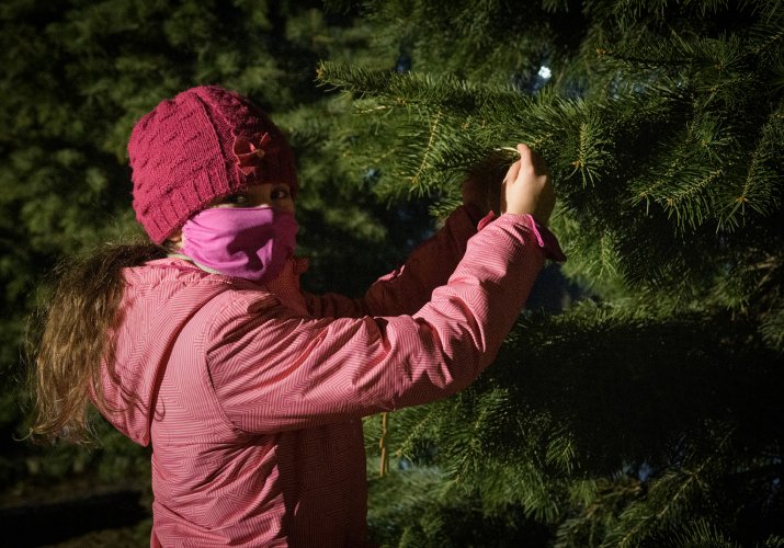 004 - Akcja Świąteczne drzewko-PKZ.jpg