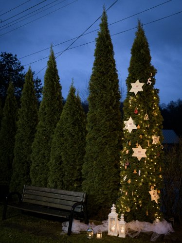 006 - Akcja Świąteczne drzewko-Atoniów.jpg