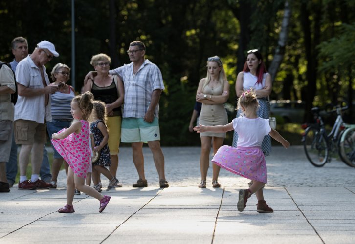 007 - W Zieloną gramy-Soyka Band.jpg