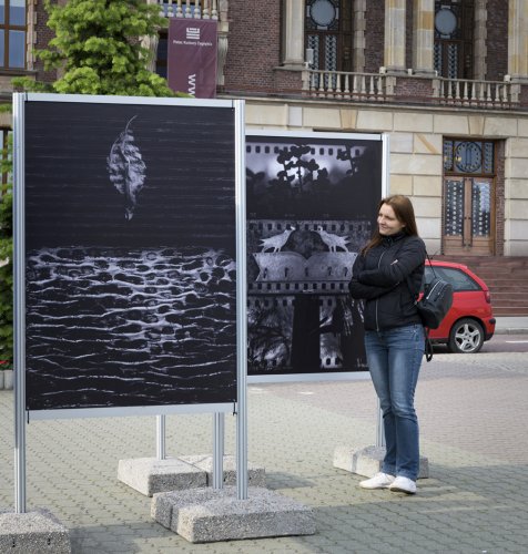 008- Ogród zdarzeń.jpg