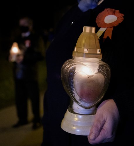 009 - Kwiaty pod pomnikiem Różyckiego.jpg