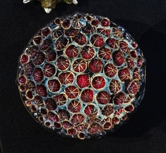 009- Kubek Fidiasza-wernisaz.jpg