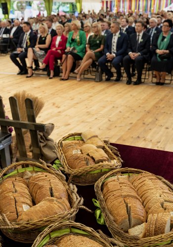 012 - Dożynki-2019.jpg