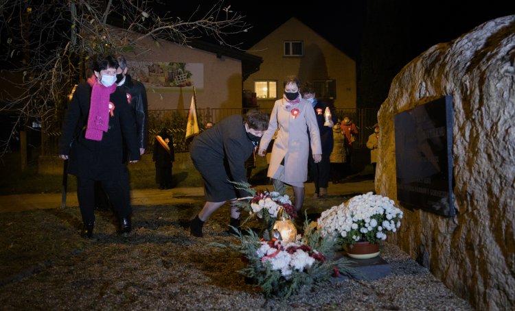 017 - Kwiaty pod pomnikiem Różyckiego.jpg