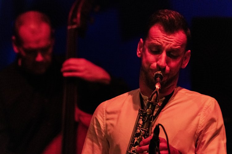 019 - ScenaAnecs-New Bone.jpg