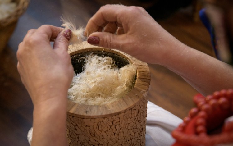 023 - Quasi-Wyszkubek.jpg