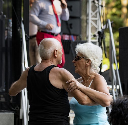 027 - W Zieloną gramy-Soyka Band.jpg