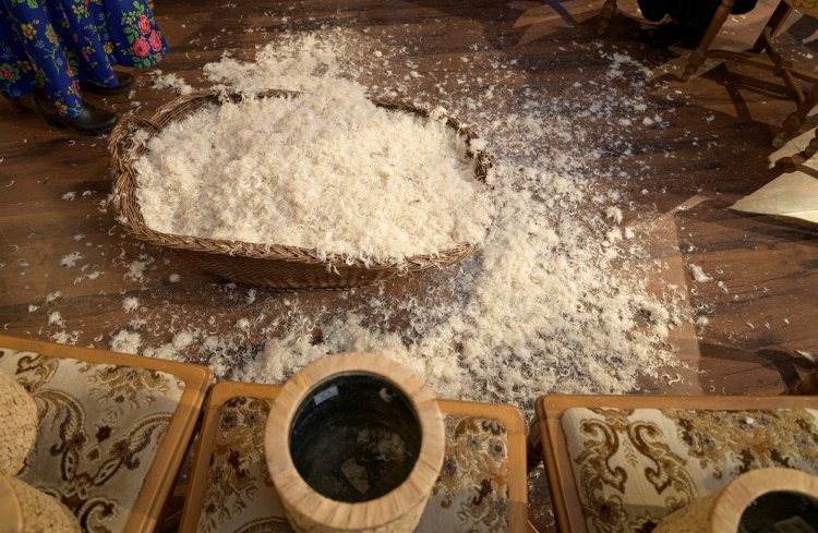 030 - Quasi-Wyszkubek.jpg