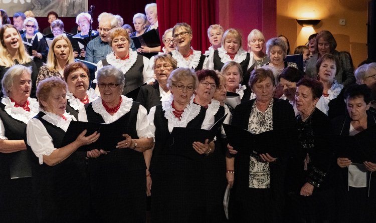 042 - DKZ-Cecyliada.jpg