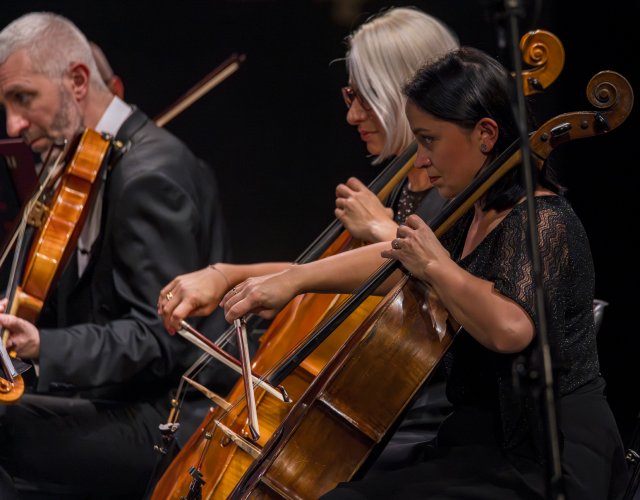 074 - Koncert Laureatow.jpg