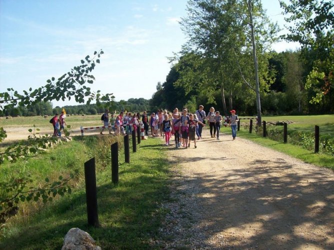 11891178_750775388378804_3019451015013583777_n (Kopiowanie).jpg