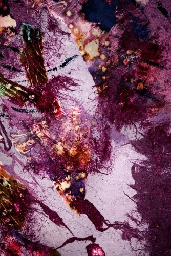 3 razy papier fot. Marek Wesołowski (2).jpg