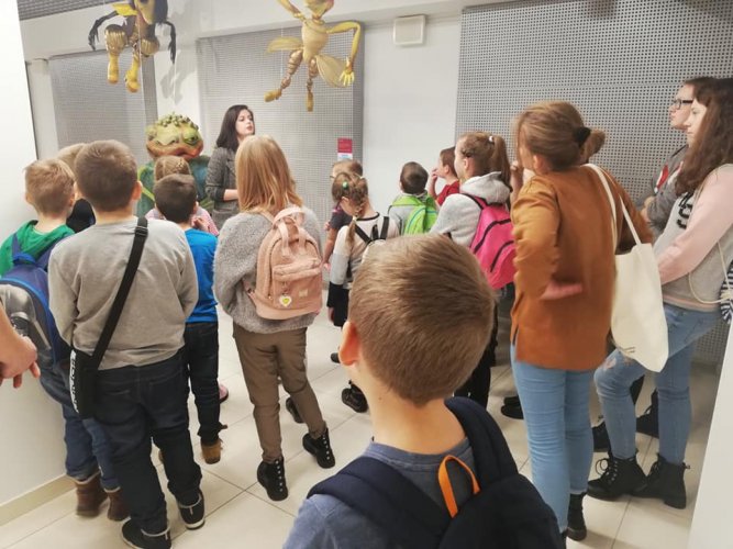 AF Krag Unikat (5).jpg