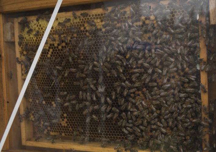 Chlebem i solą 2017 fot. Marek Wesołowski (42).jpg