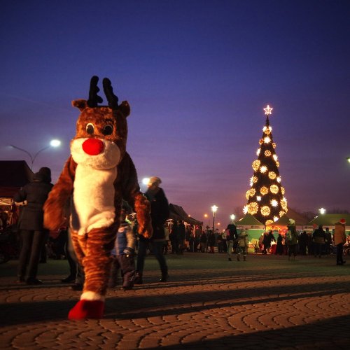 Dąbrowski Kiermasz Świąteczny 2016 (11).jpg