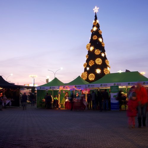 Dąbrowski Kiermasz Świąteczny 2016 (8).jpg