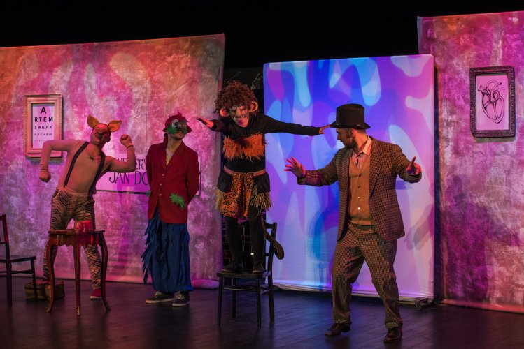 Doktor Dolittle Szafing 2017 fot. Marek Wesołowski (10).jpg