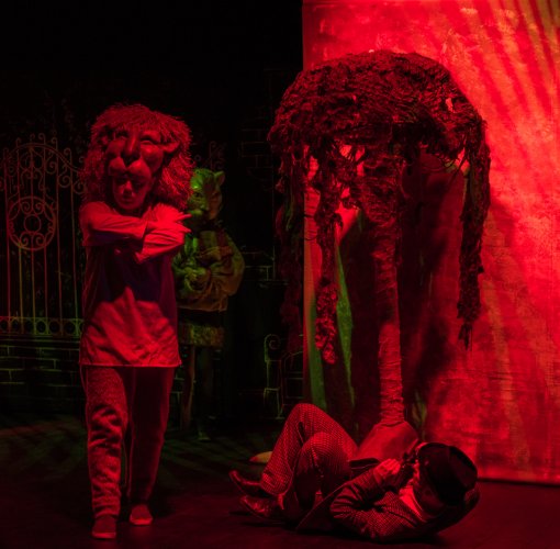 Doktor Dolittle Szafing 2017 fot. Marek Wesołowski (17).jpg