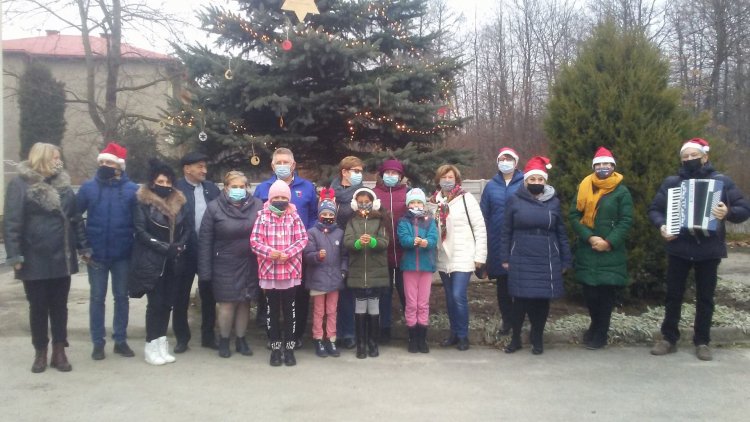 Drzewko Swojaki (1).jpg