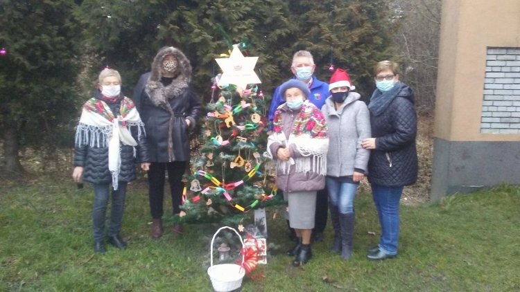 Drzewko Swojaki (2).jpg