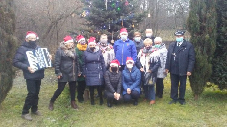 Drzewko Swojaki (3).jpg