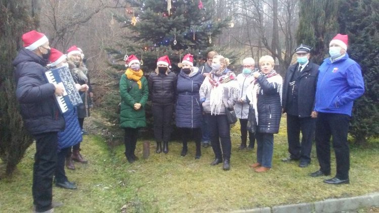 Drzewko Swojaki (4).jpg