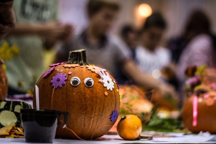 Dynie Antoniów (29).jpg