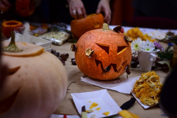 Dynie Antoniów (47).jpg