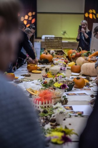 Dynie Antoniów (5).jpg