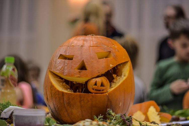 Dynie Antoniów (55).jpg