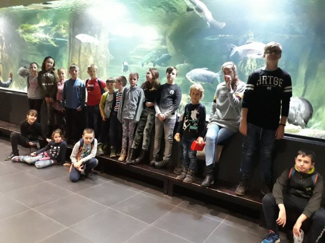 Helikon- artystyczne ferie 2020 (10).jpg