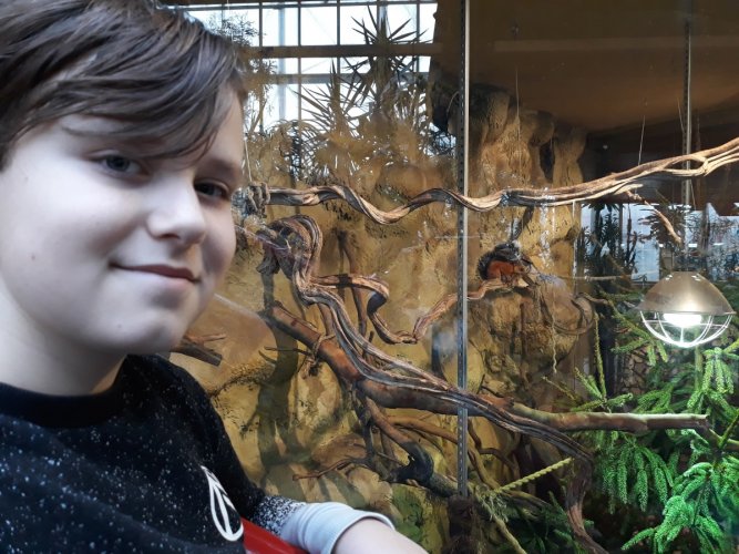 Helikon- artystyczne ferie 2020 (9).jpg