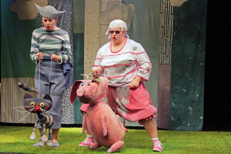 Ku-ku-ryku Słoneczniku, fot. Anna Kaczmarz (13).jpg