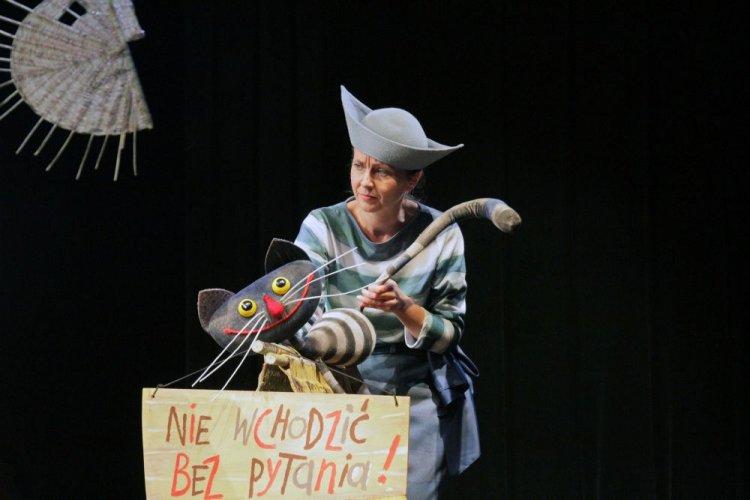 Ku-ku-ryku Słoneczniku, fot. Anna Kaczmarz (15).jpg