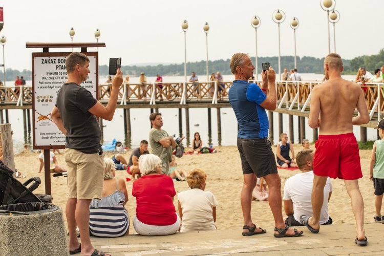 Letnie KOncerty Plenerowe Mod 1 (37).jpg