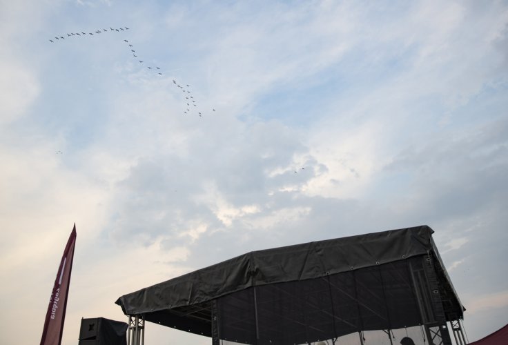 Letnie KOncerty Plenerowe Mod 1 (4).jpg