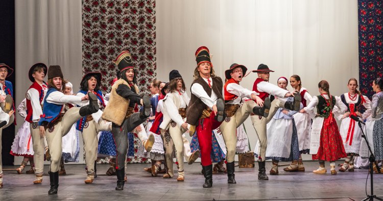 MFF 2018 fot Marek Wesołowski (7).jpg