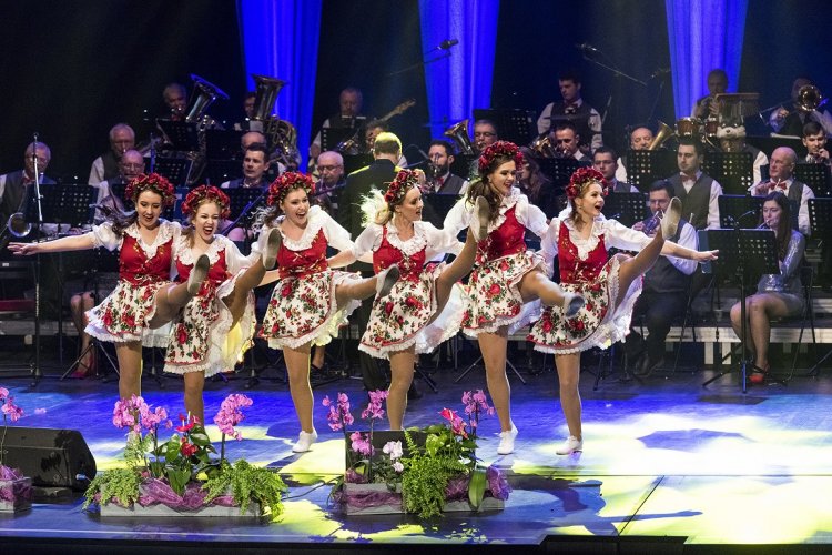 MOD 2018 Koncert Karnawałowy M. Wesołowski (43).jpg