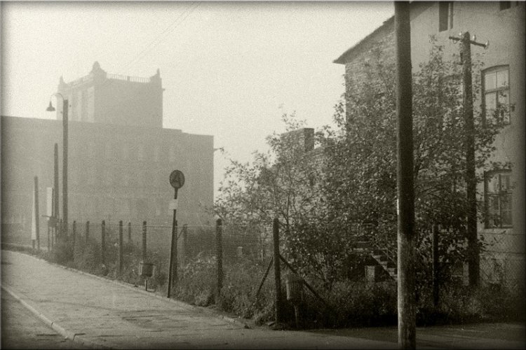 Mariusz - DG 013.jpg