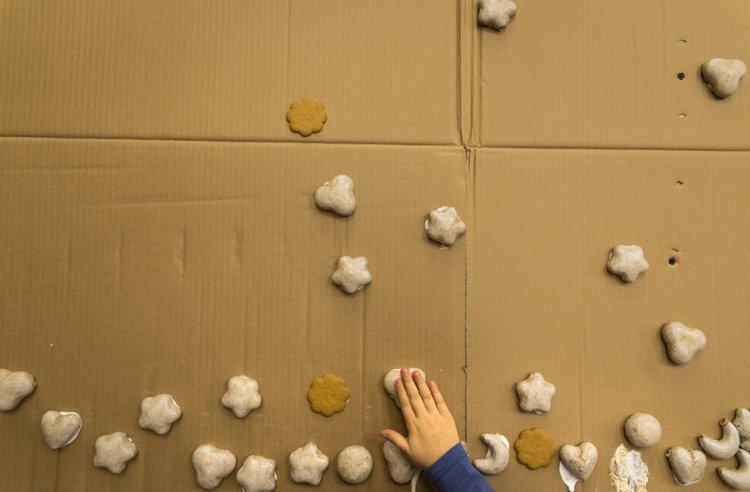 Mikołajki PKZ 2016 fot. Marek Wesołowski (31).jpg