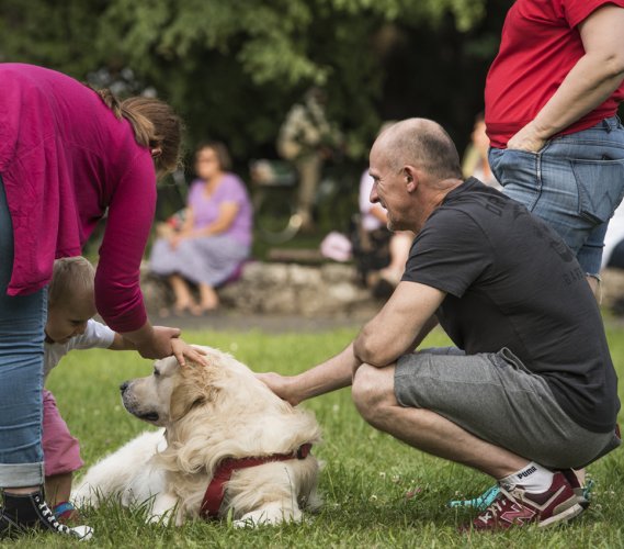 Sojka Band Park Zielona 16.07.2017 fot. Marek Wesołowski (11).jpg